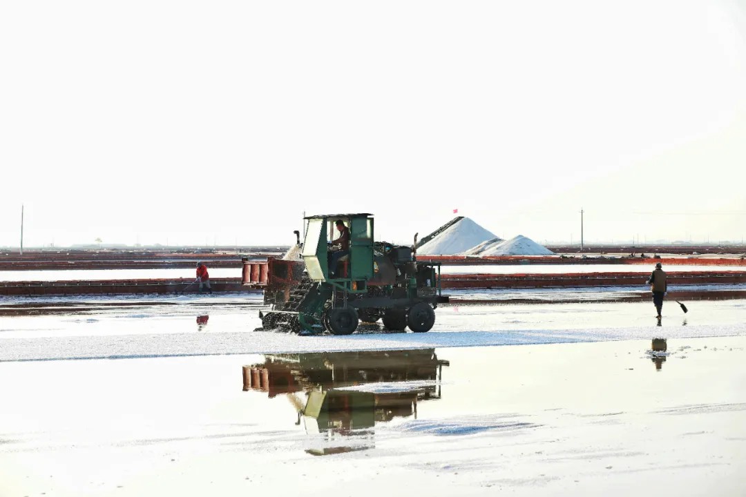 640 (2).jpg 640 (2).jpg