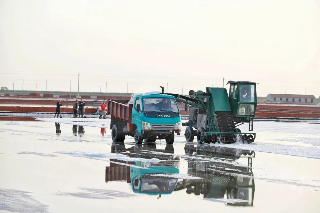 640 (3).jpg 640 (3).jpg